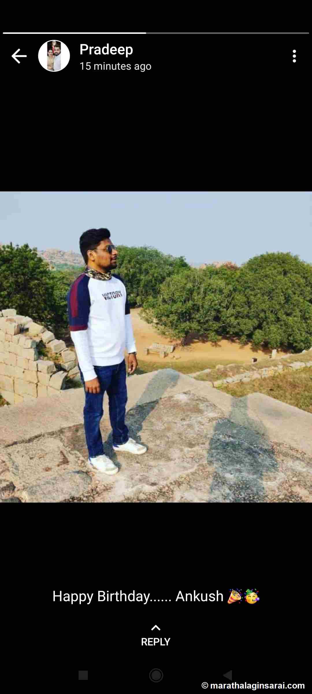 Profile Picture