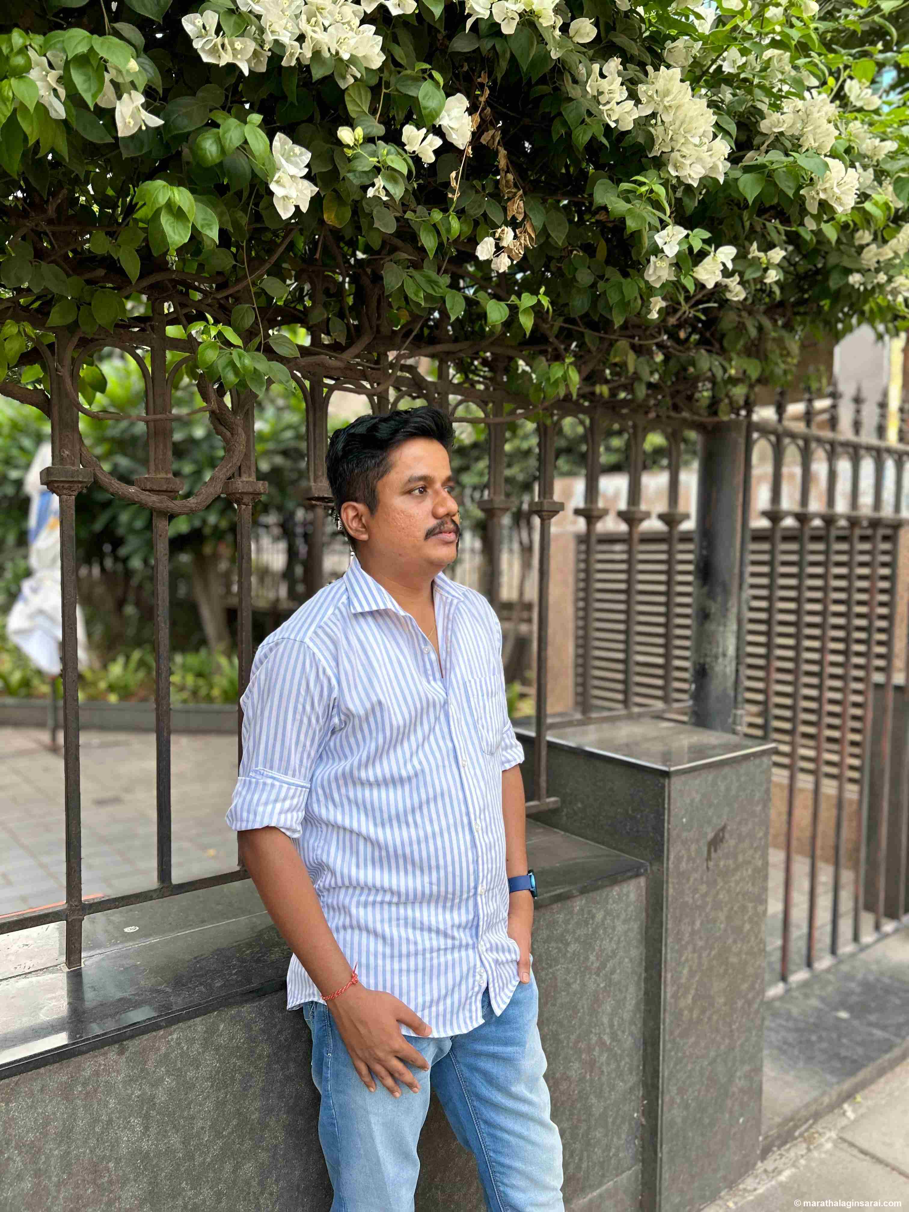 Profile Picture